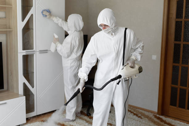 Home Mold Removal in Troy, IL